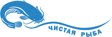 чистая рыба_VECTOR.png
